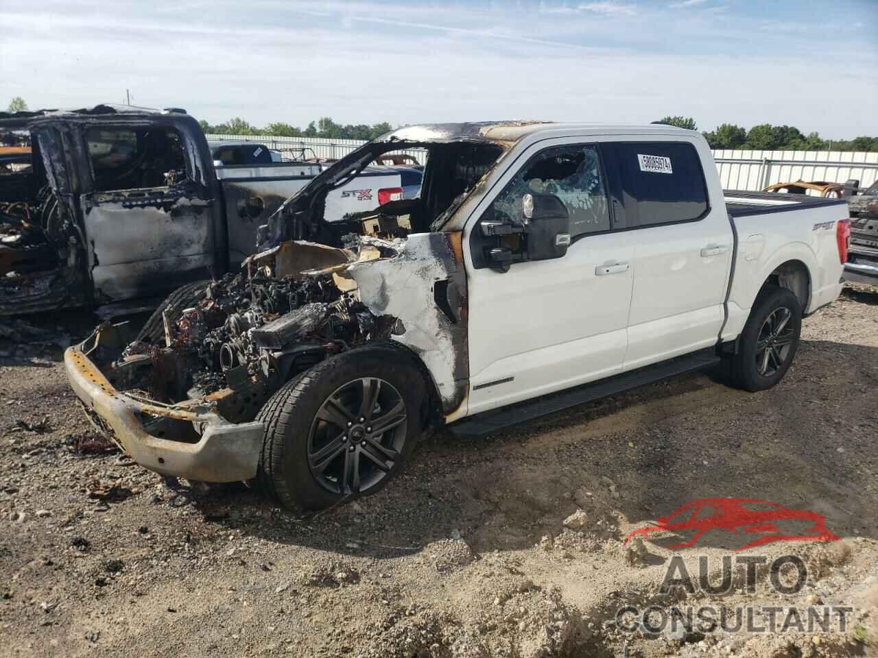 FORD F-150 2022 - 1FTFW1ED3NFA77816