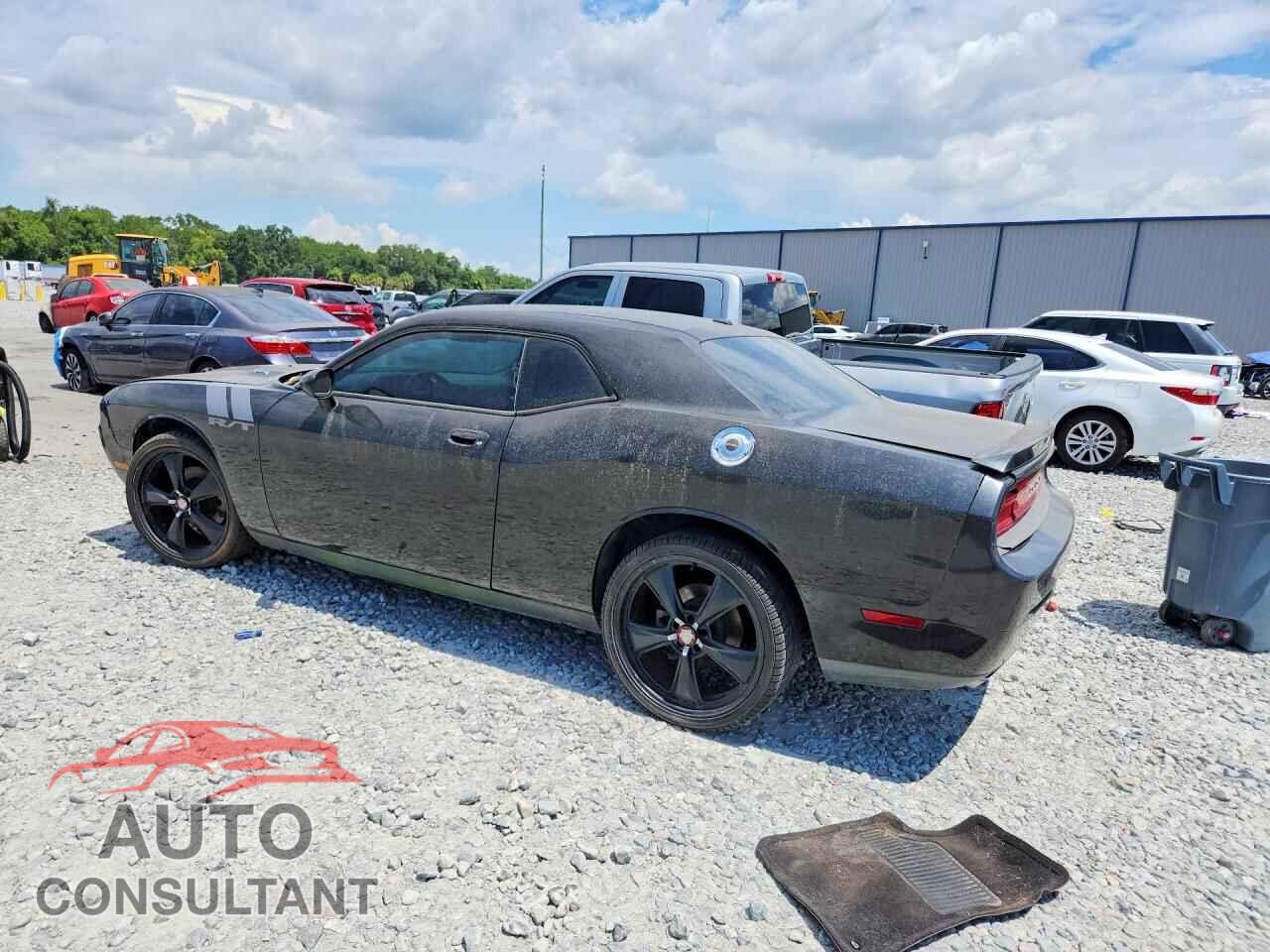 DODGE CHALLENGER 2010 - 2B3CJ5DT5AH296725