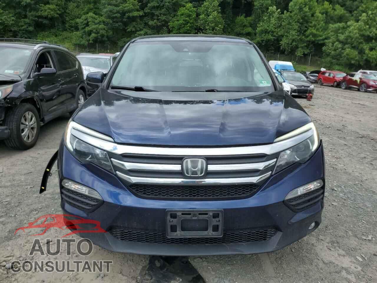 HONDA PILOT 2016 - 5FNYF6H44GB077204