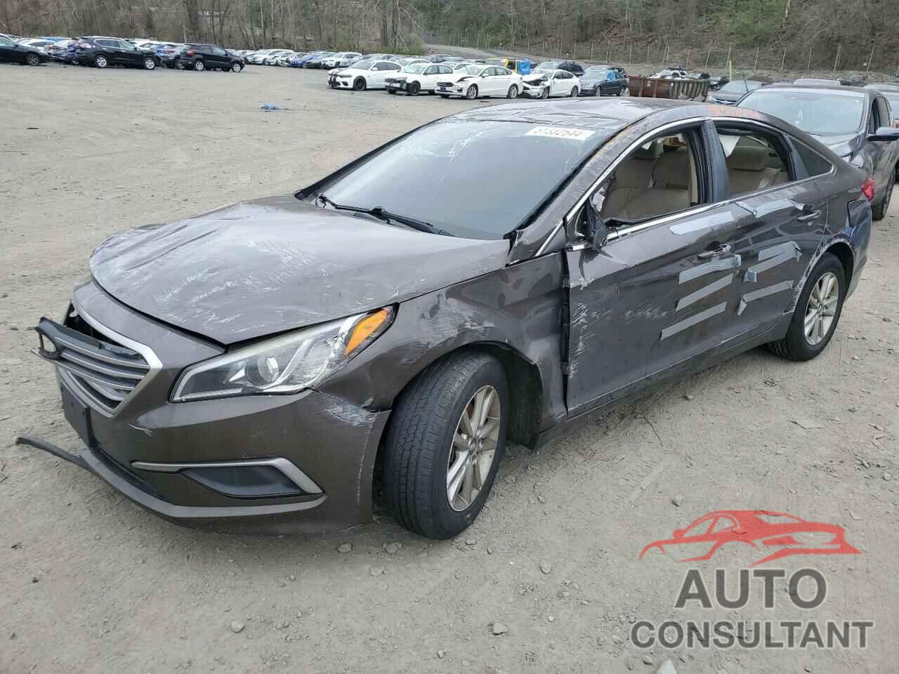 HYUNDAI SONATA 2016 - 5NPE24AF4GH293120