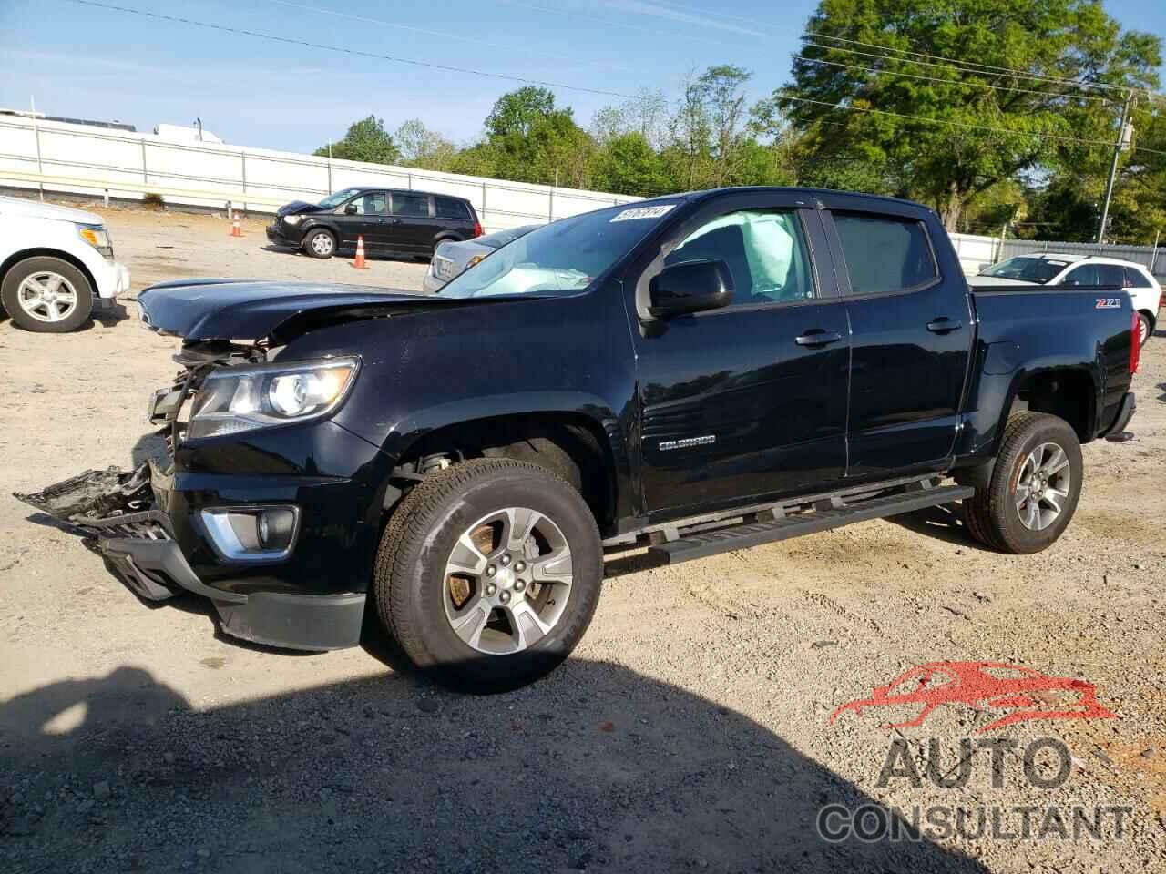 CHEVROLET COLORADO 2019 - 1GCGTDEN2K1339258