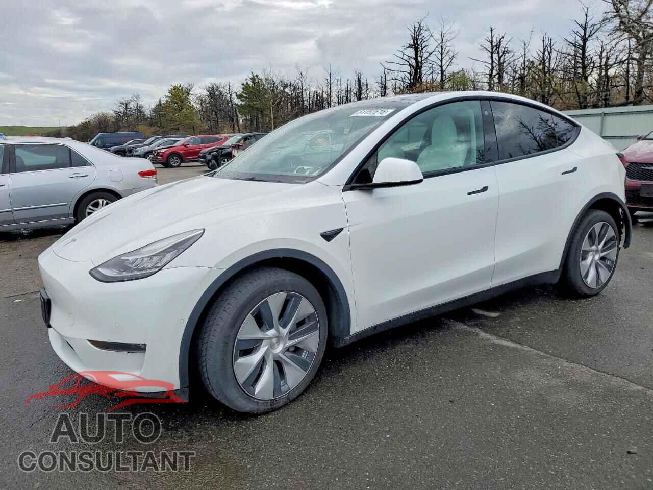TESLA MODEL Y 2022 - 7SAYGDEE8NF444622