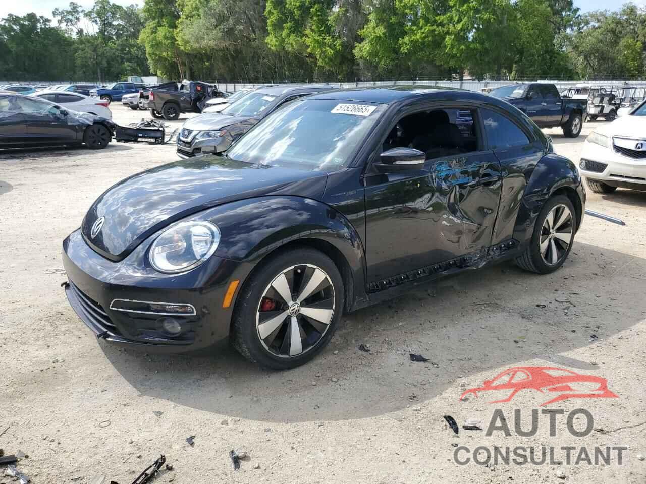 VOLKSWAGEN BEETLE 2015 - 3VWVS7AT3FM634343