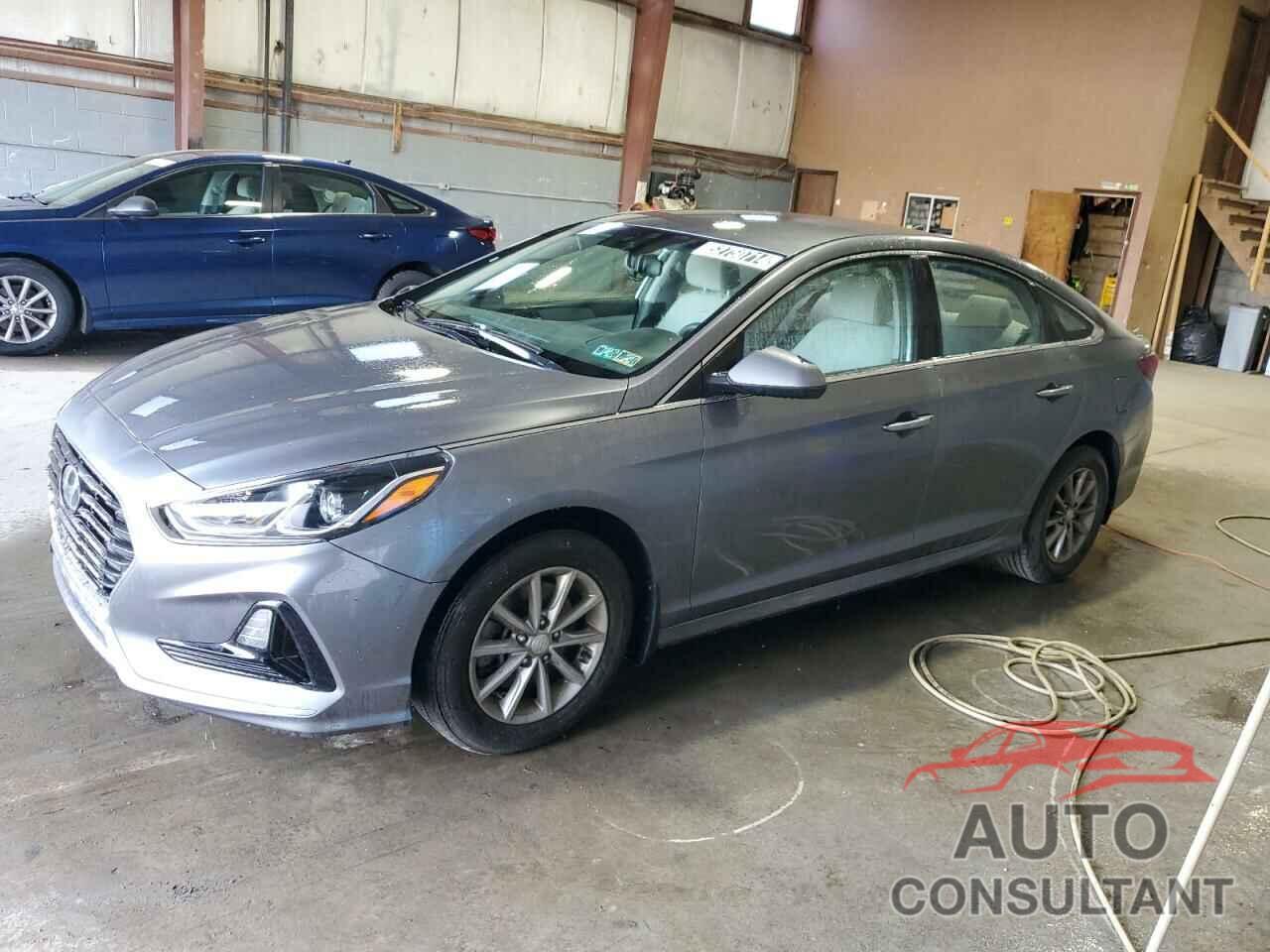 HYUNDAI SONATA 2019 - 5NPE24AF7KH782412