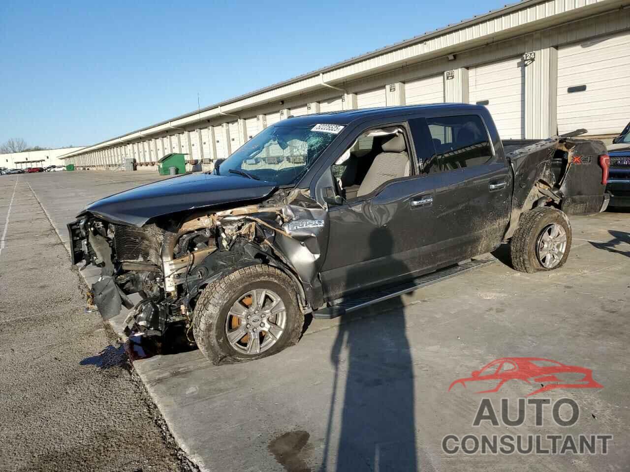 FORD F-150 2016 - 1FTEW1EF3GKE00608