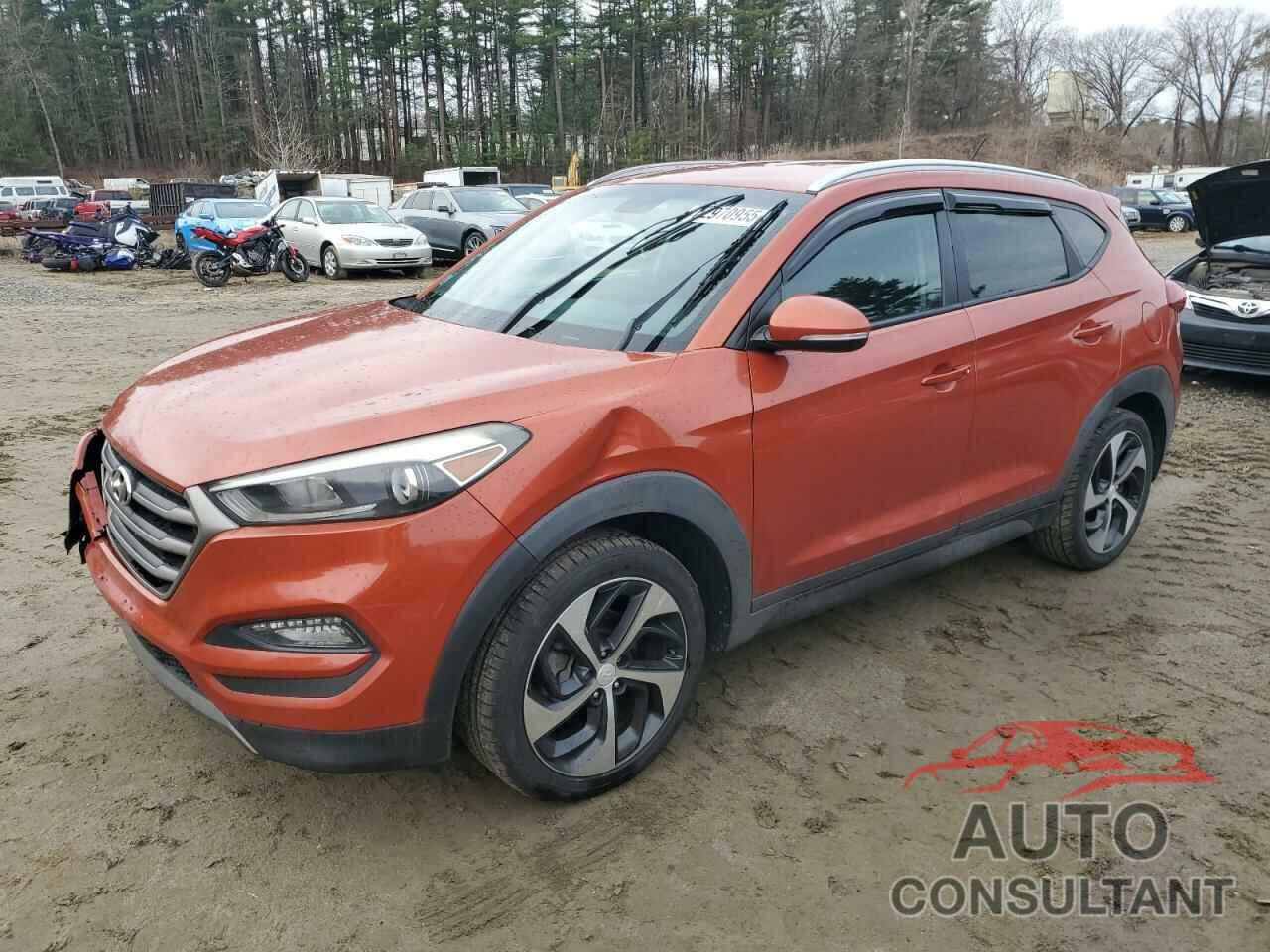 HYUNDAI TUCSON 2016 - KM8J33A24GU066918