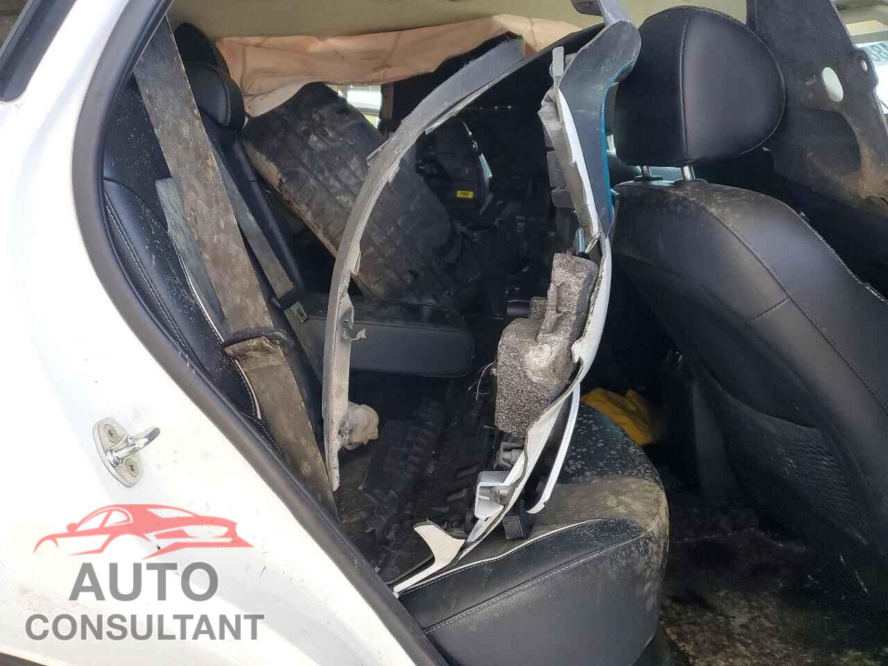 KIA UNKNOWN 2022 - KNDCC3LG4N5116830