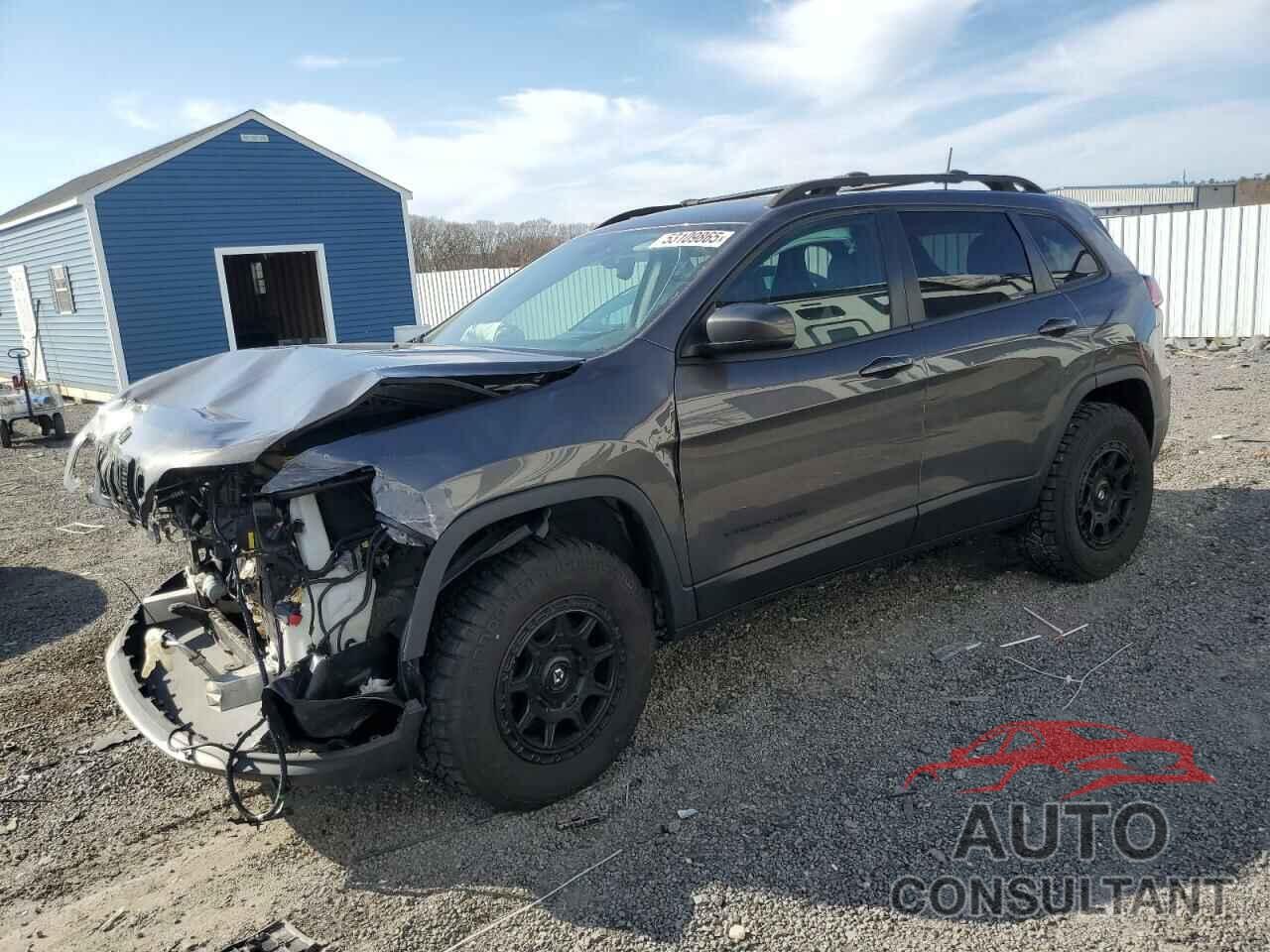 JEEP GRAND CHER 2019 - 1C4PJMDX1KD310146