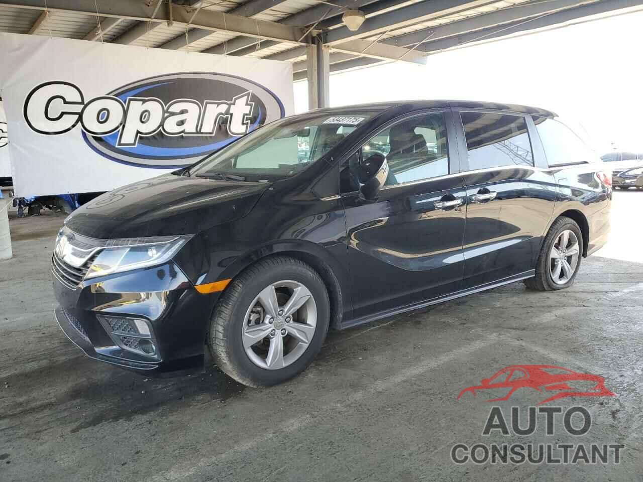 HONDA All Models 2019 - 5FNRL6H71KB029661