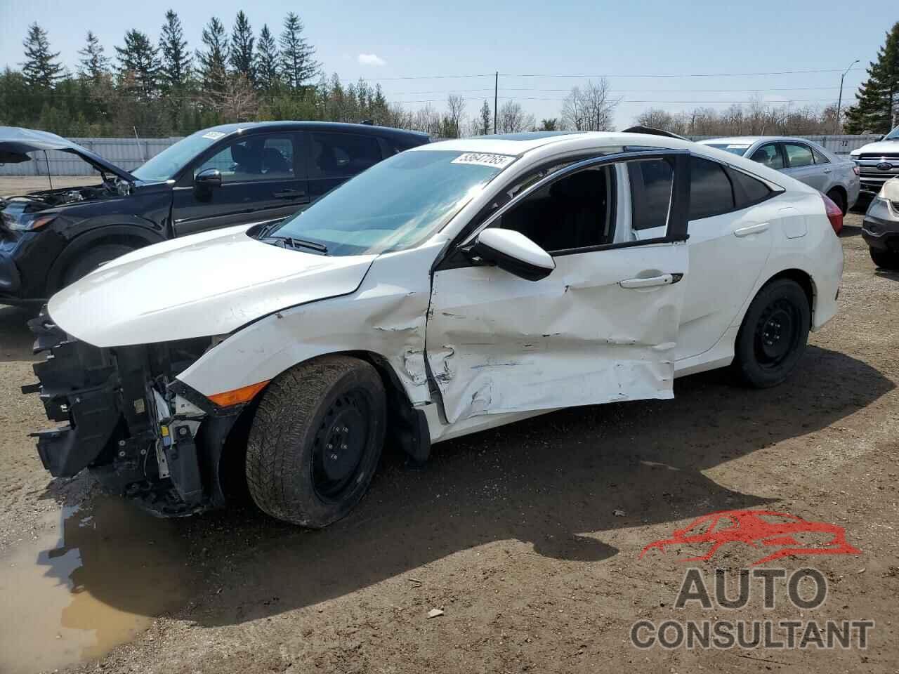 HONDA CIVIC 2018 - 2HGFC2F80JH008186