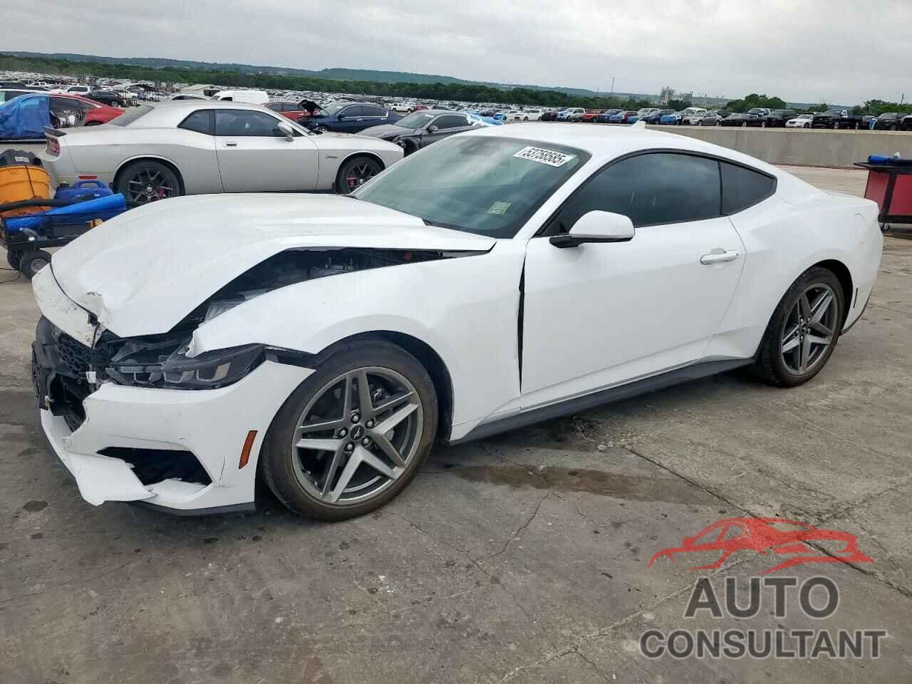 FORD ALL Models 2024 - 1FA6P8TH7R5136881