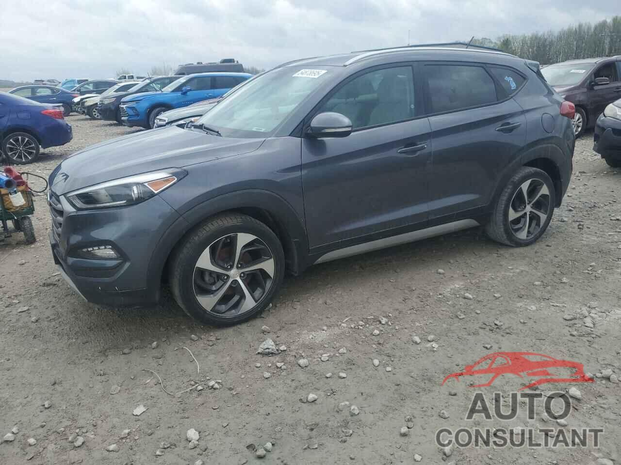 HYUNDAI TUCSON 2017 - KM8J33A2XHU340866