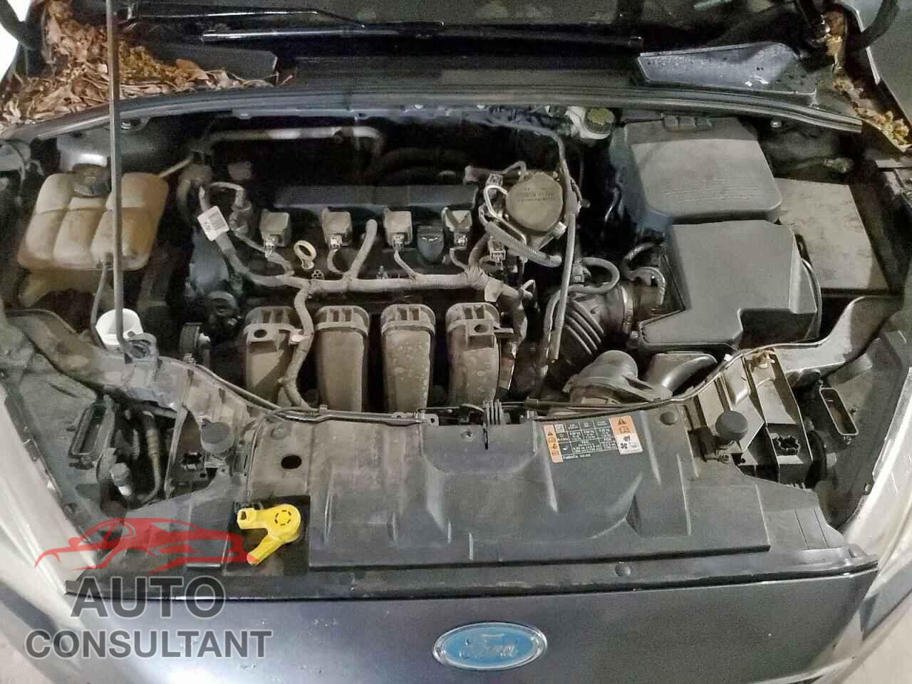 FORD FOCUS 2015 - 1FADP3F25FL205902