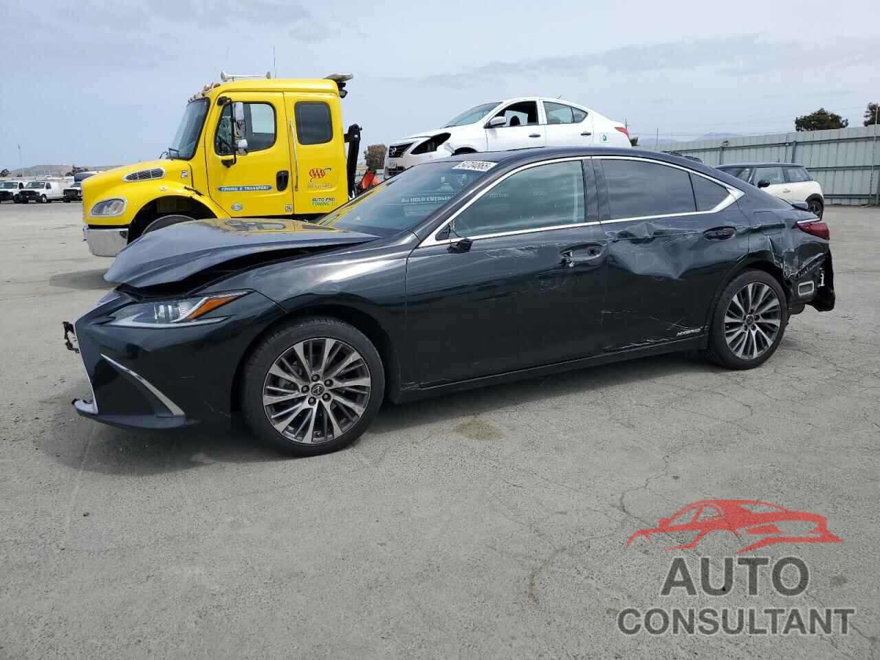 LEXUS ES300 2021 - 58ADA1C12MU006944