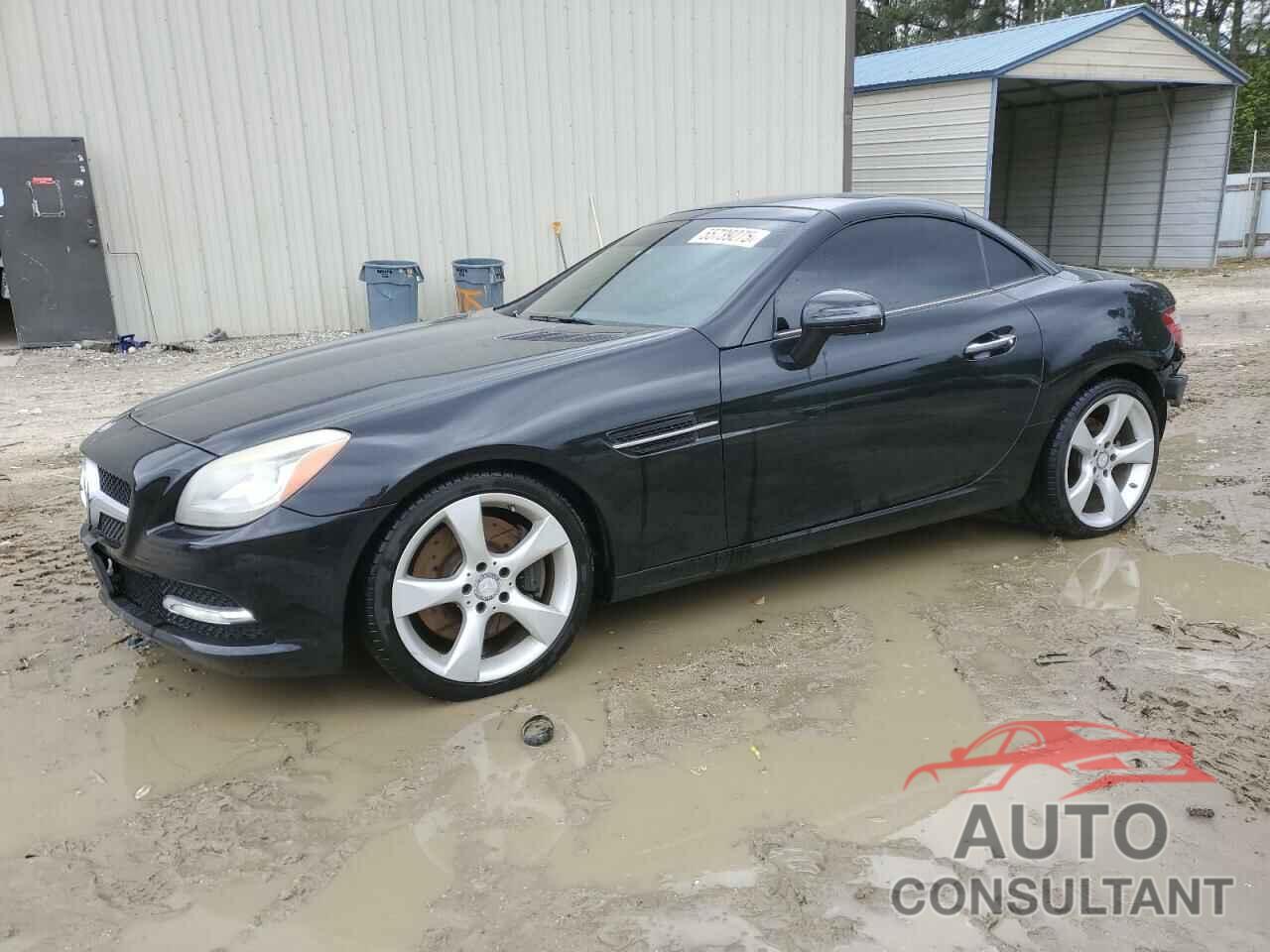 MERCEDES-BENZ SLK-CLASS 2012 - WDDPK5HA9CF008205