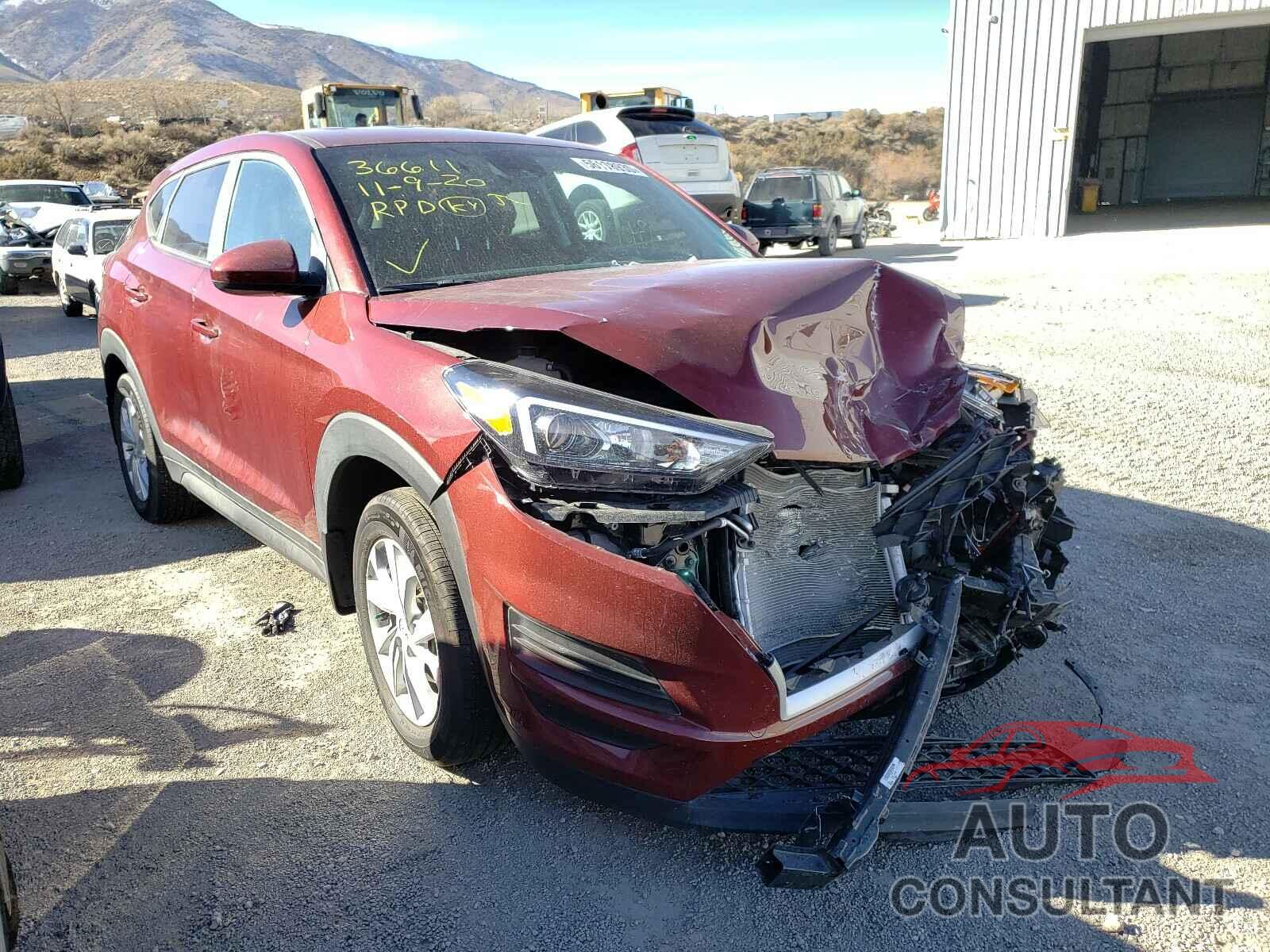HYUNDAI TUCSON 2020 - KM8J2CA40LU163449