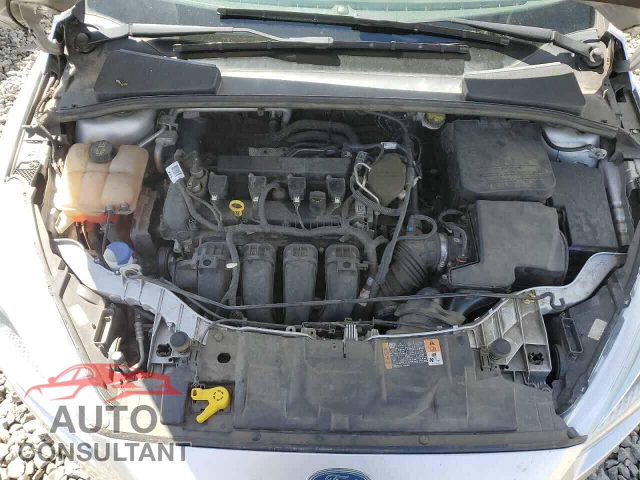 FORD FOCUS 2016 - 1FADP3K21GL297906