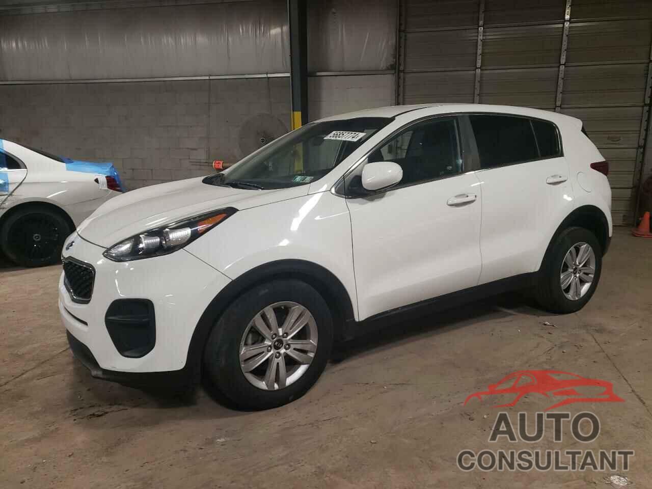 KIA SPORTAGE 2019 - KNDPM3AC3K7494653