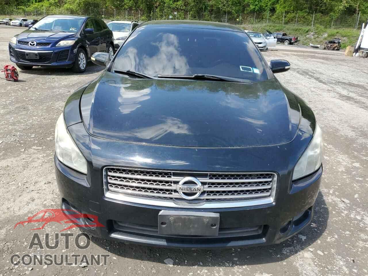 NISSAN MAXIMA 2011 - 1N4AA5AP1BC816233