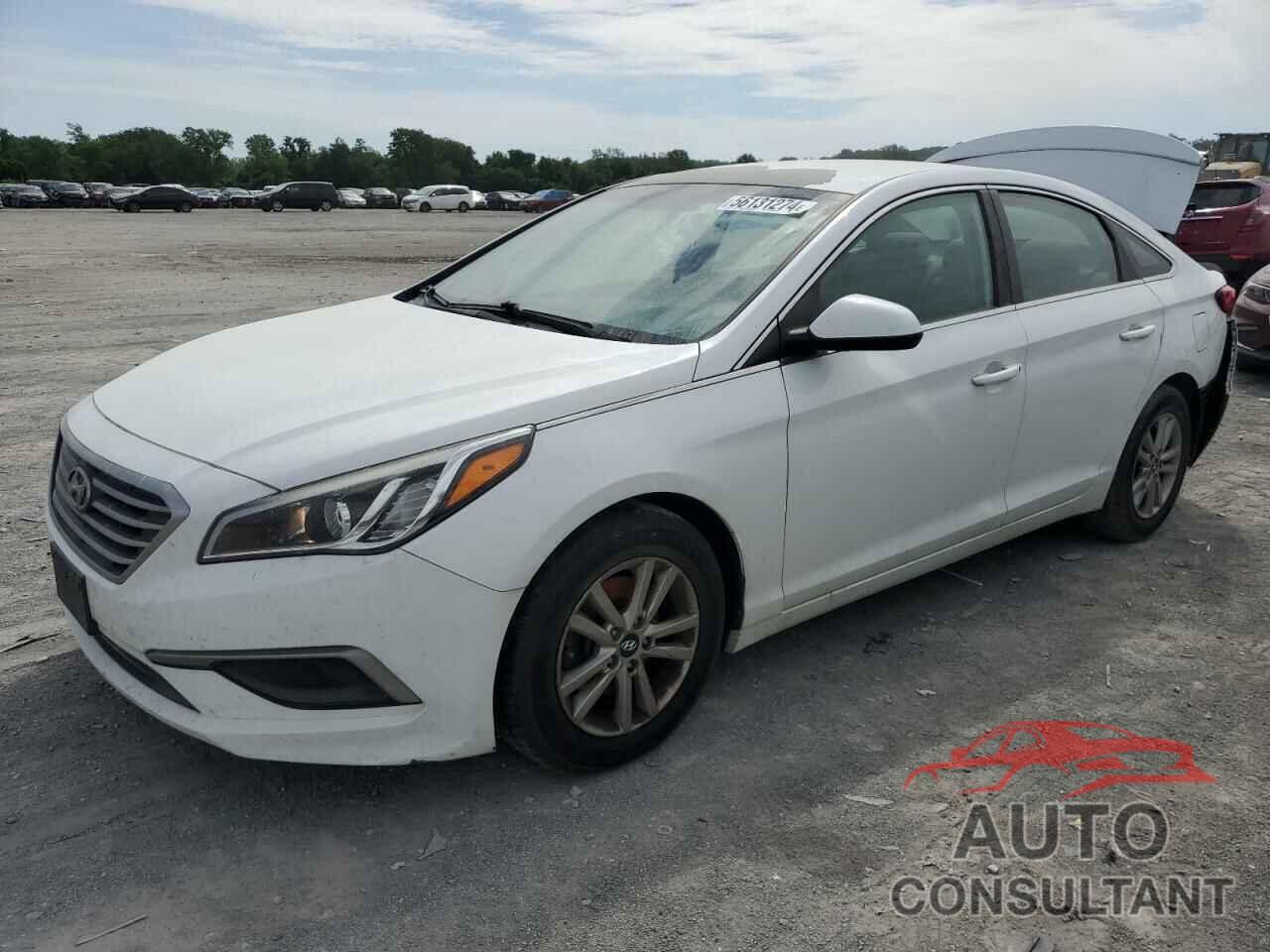 HYUNDAI SONATA 2016 - 5NPE24AF5GH312144