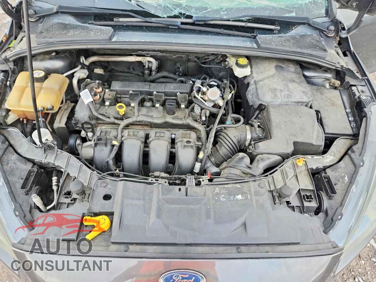 FORD FOCUS 2017 - 1FADP3N29HL279568