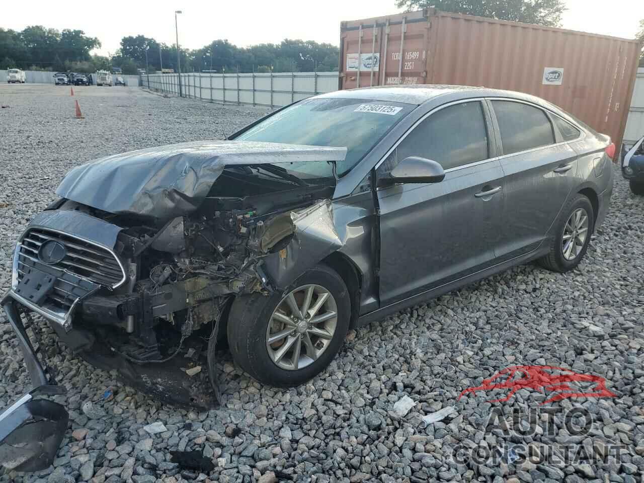 HYUNDAI SONATA 2019 - 5NPE24AF6KH787147
