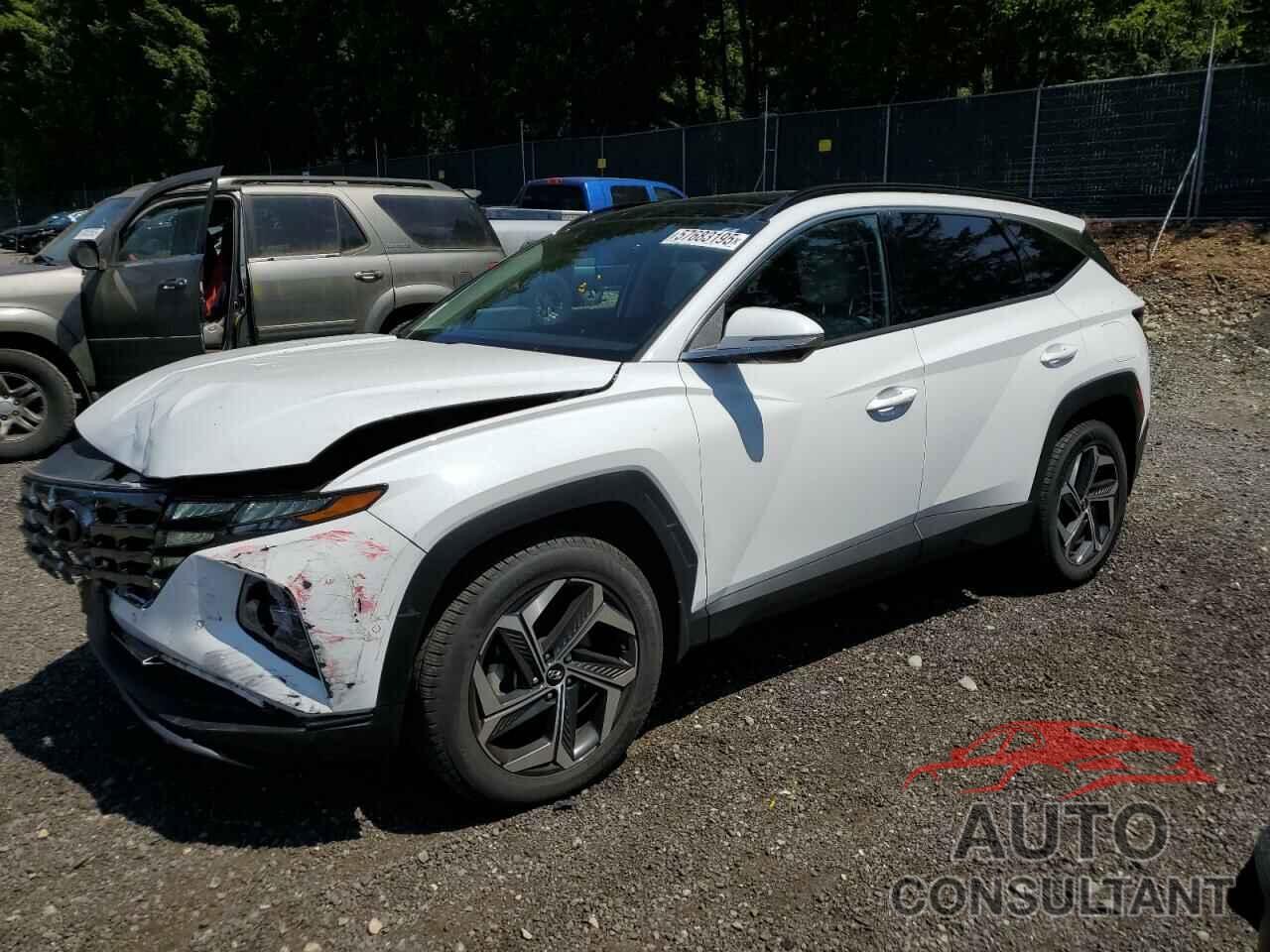 HYUNDAI TUCSON 2023 - 5NMJECAEXPH289593