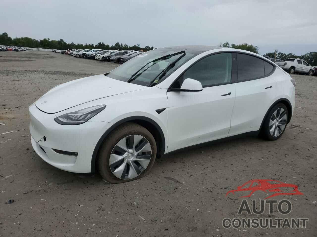 TESLA MODEL Y 2022 - 7SAYGDEE8NF495246