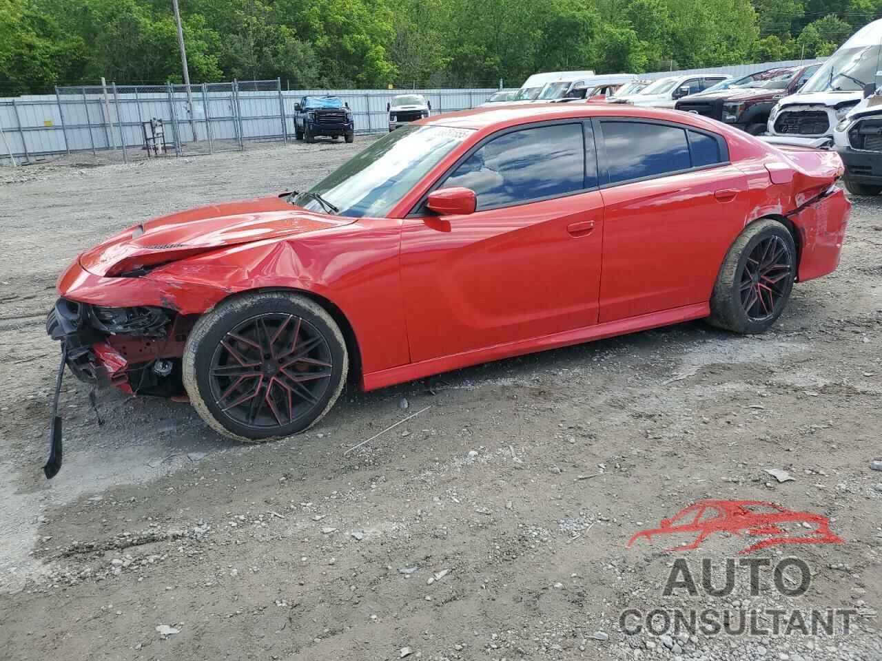 DODGE CHARGER 2019 - 2C3CDXGJ8KH617187