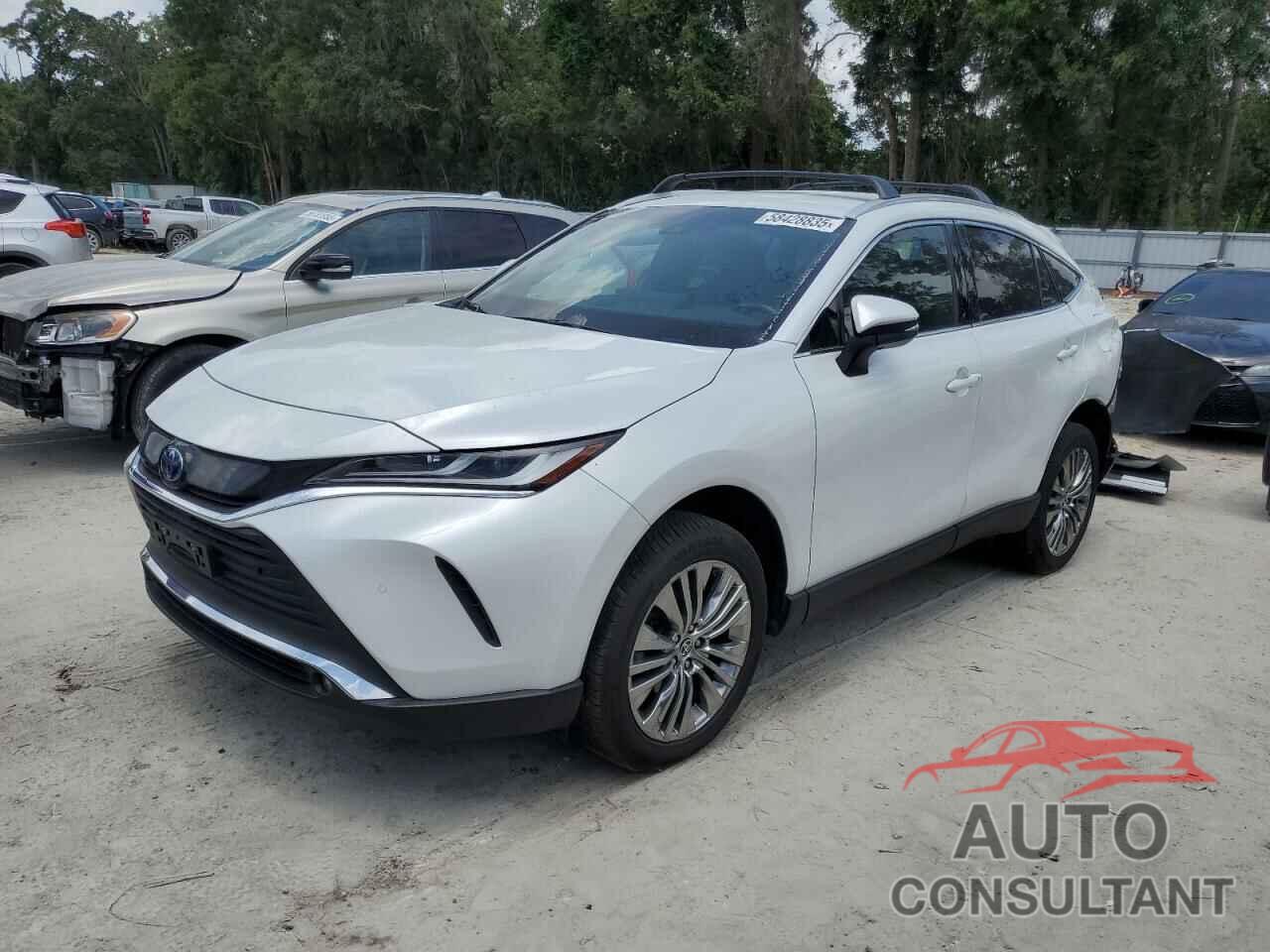 TOYOTA VENZA 2023 - JTEAAAAH0PJ125527