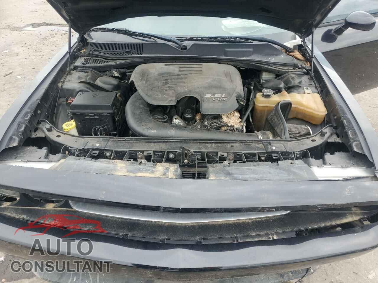 DODGE CHALLENGER 2012 - 2C3CDYAG3CH181076
