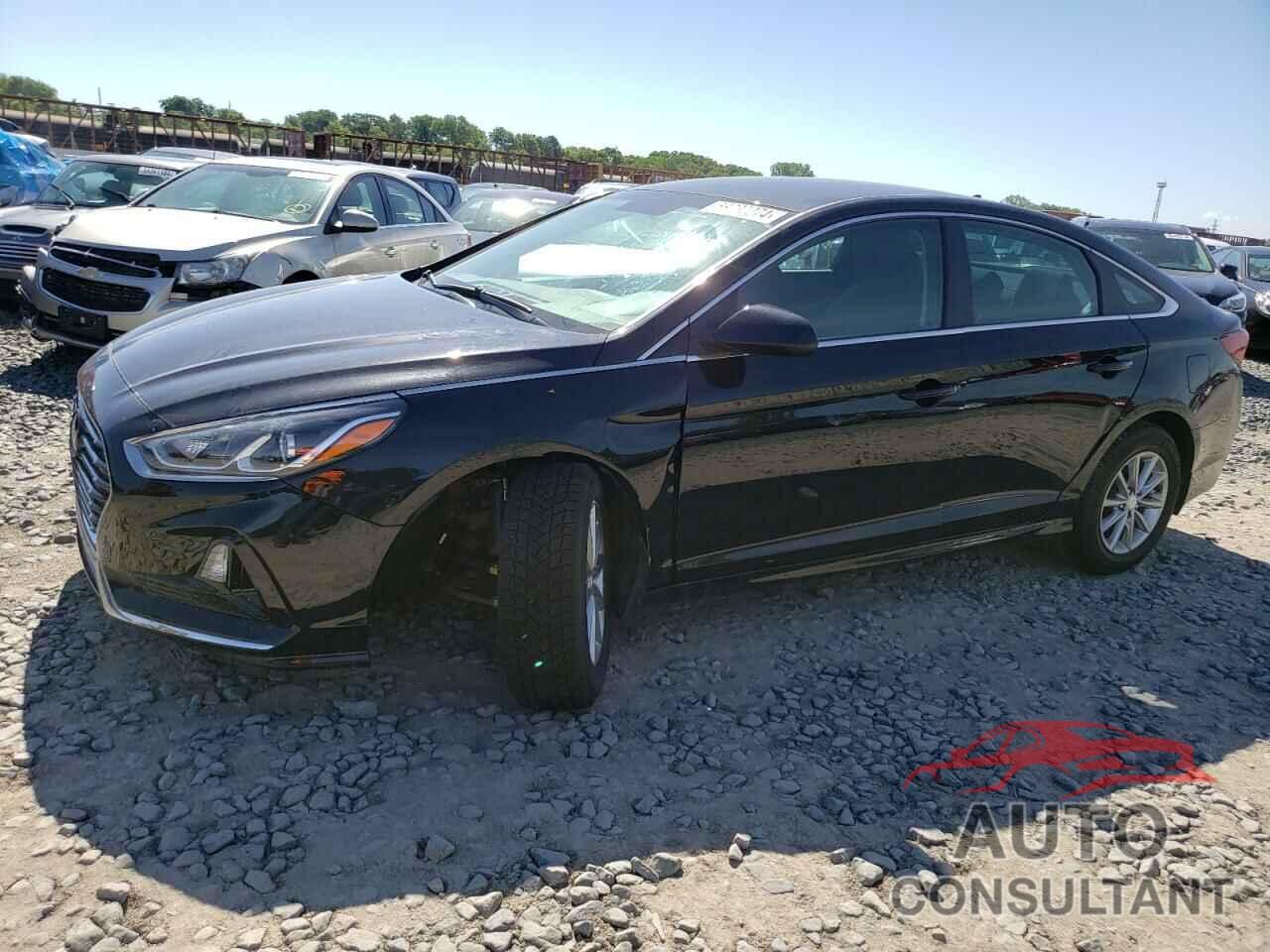 HYUNDAI SONATA 2019 - 5NPE24AF4KH807234