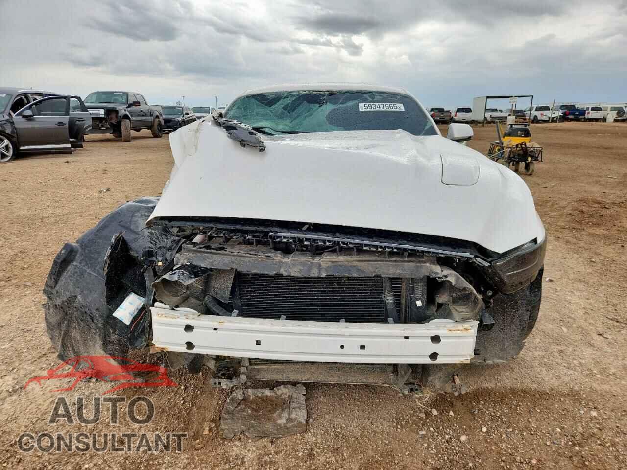 FORD MUSTANG 2017 - 1FA6P8CF3H5259607