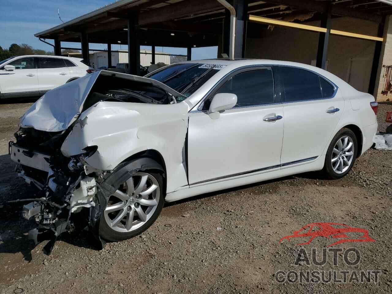 LEXUS LS460 2009 - JTHBL46F995086717