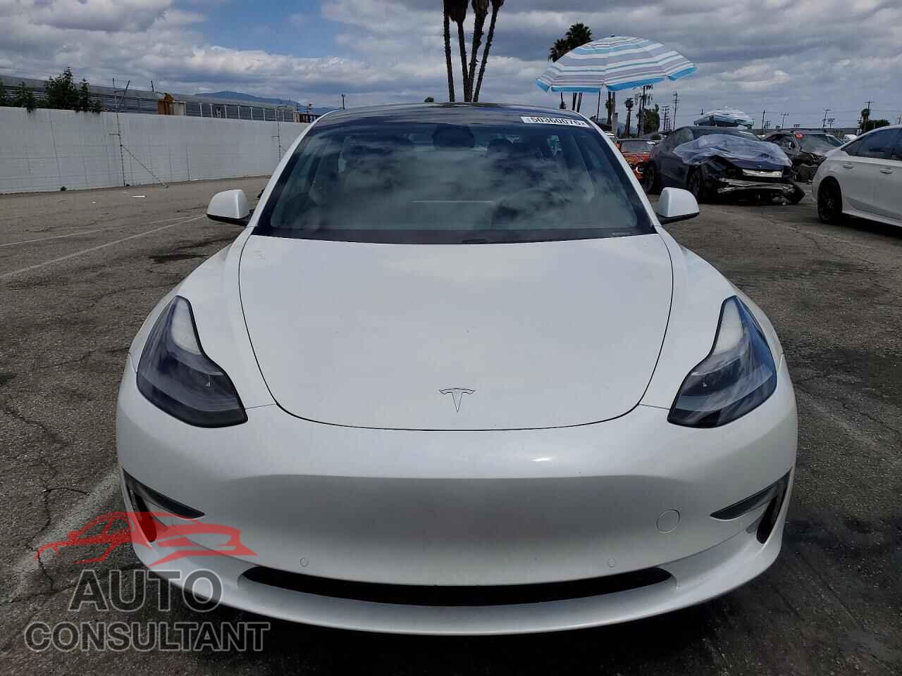 TESLA MODEL 3 2021 - 5YJ3E1EA2MF031909