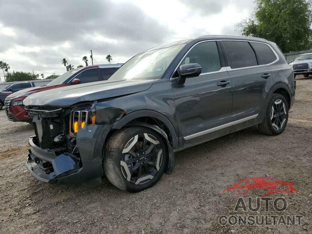 KIA TELLURIDE 2024 - 5XYP34GC8RG533847