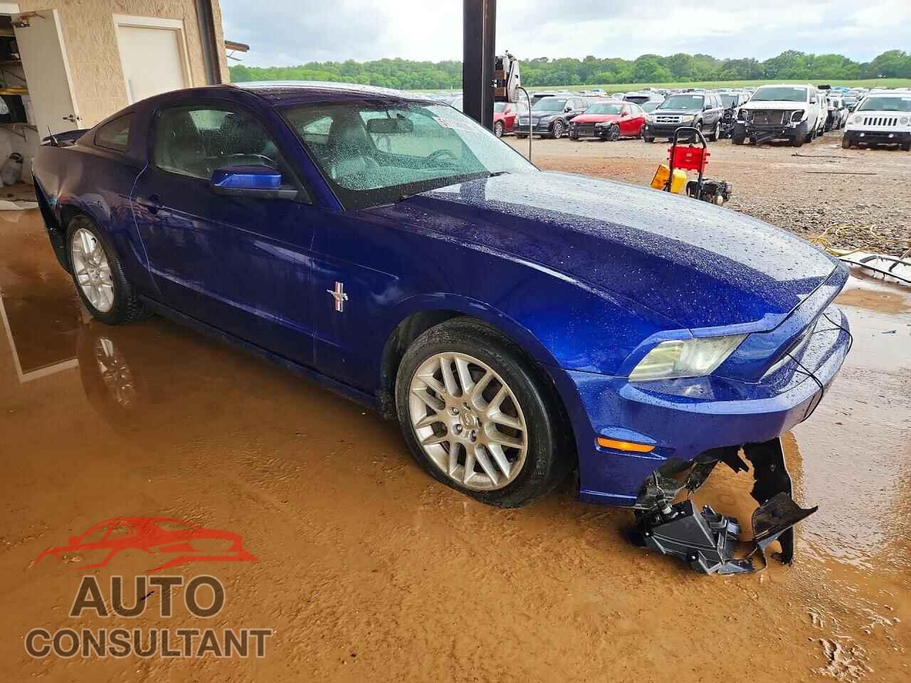FORD MUSTANG 2013 - 1ZVBP8AM3D5235230