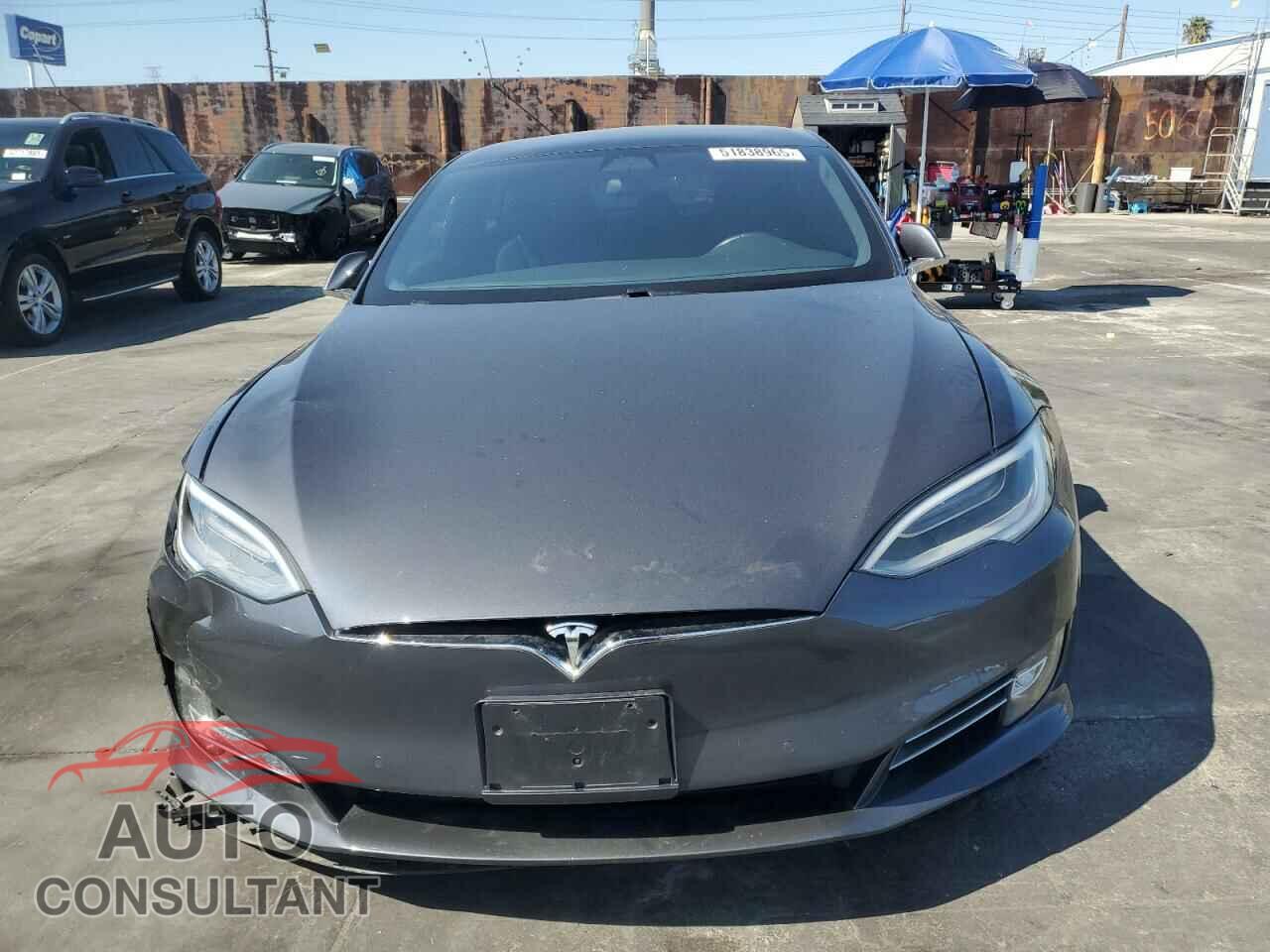 TESLA MODEL S 2019 - 5YJSA1E2XKF305595