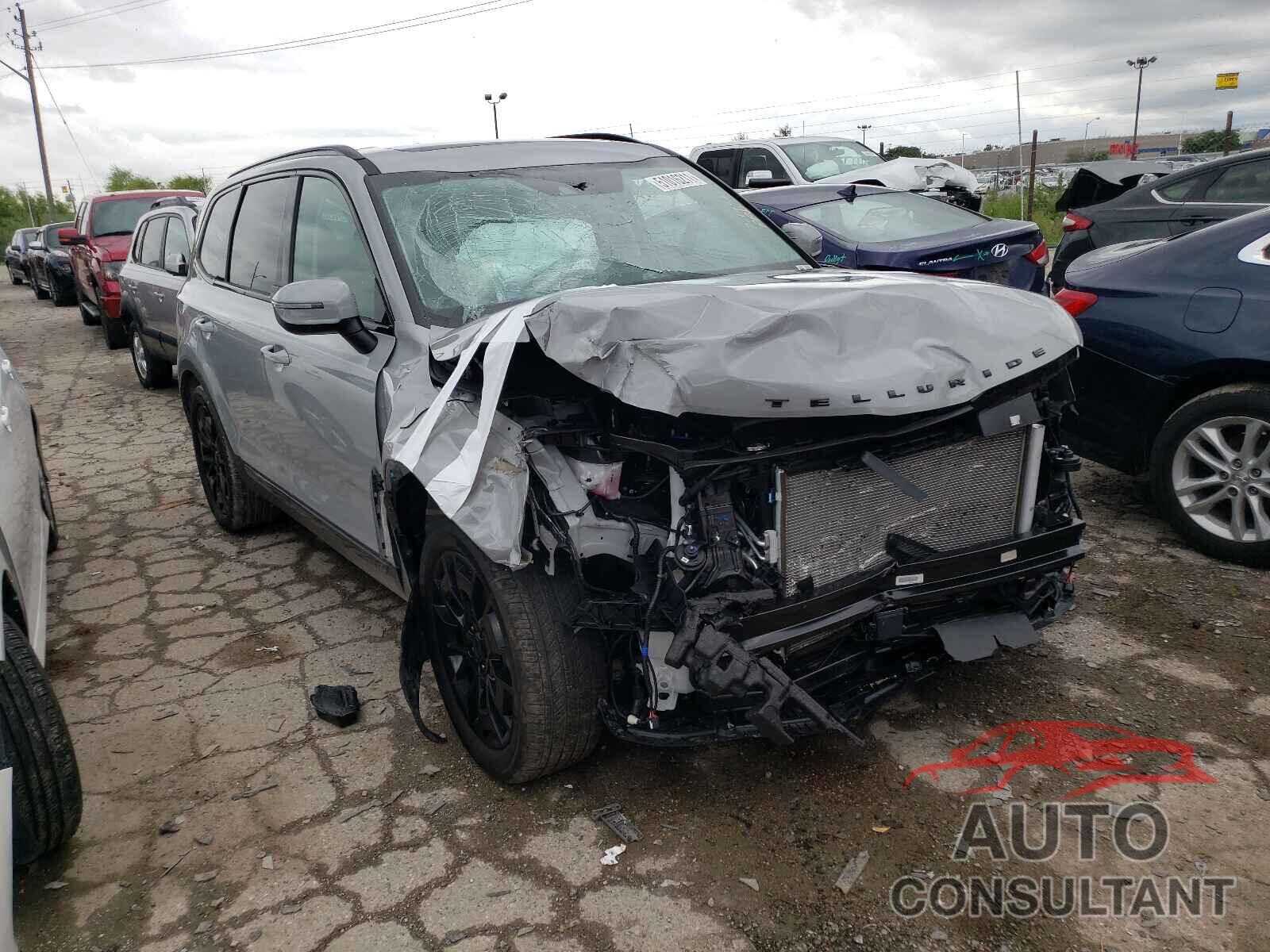 KIA TELLURIDE 2021 - 5XYP3DHC7MG179357