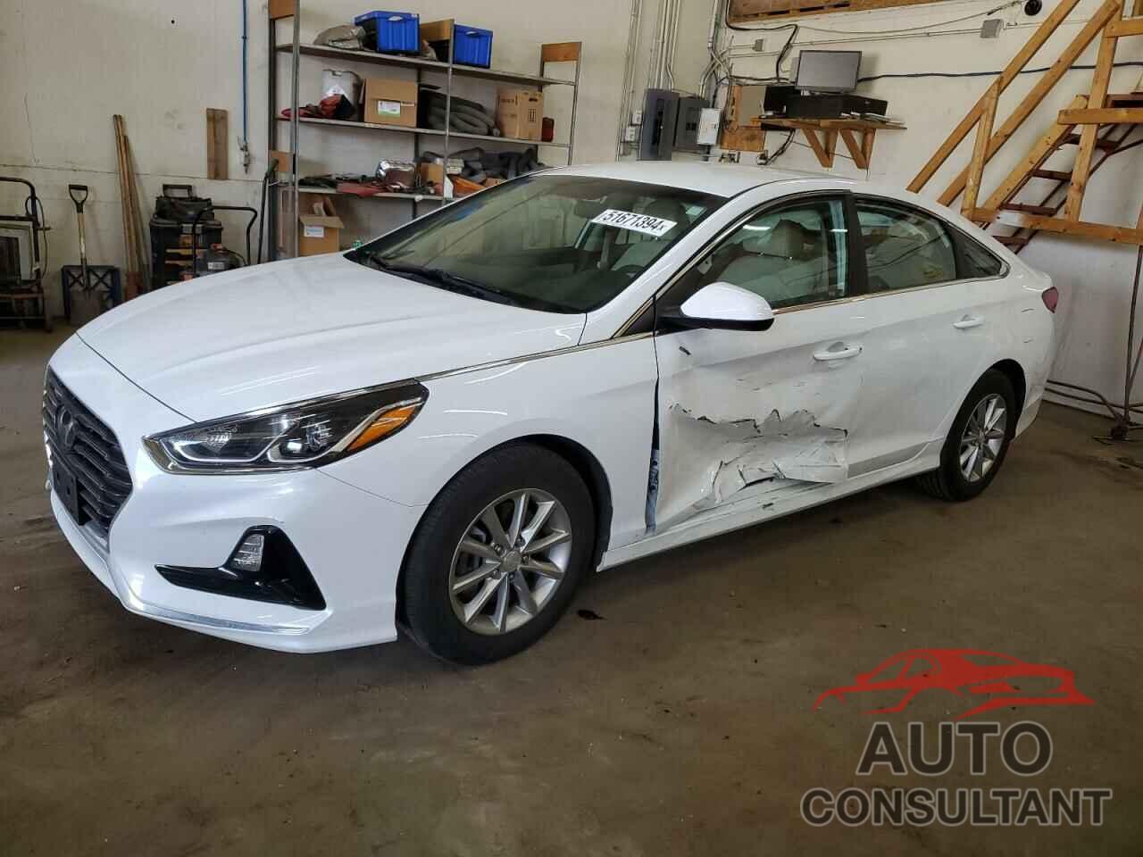 HYUNDAI SONATA 2019 - 5NPE24AF0KH819364