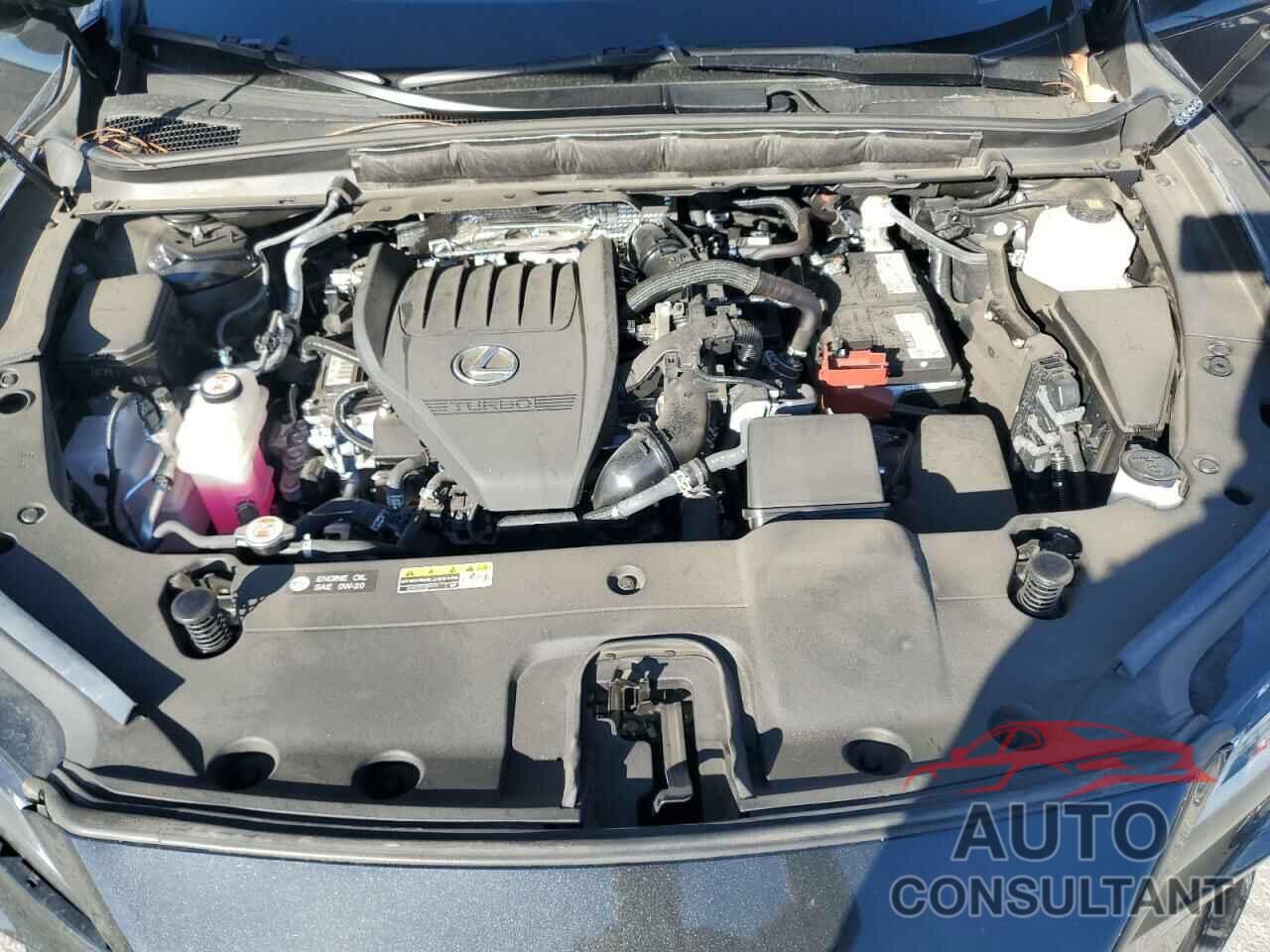 LEXUS RX350 2024 - 2T2BAMBA7RC031778