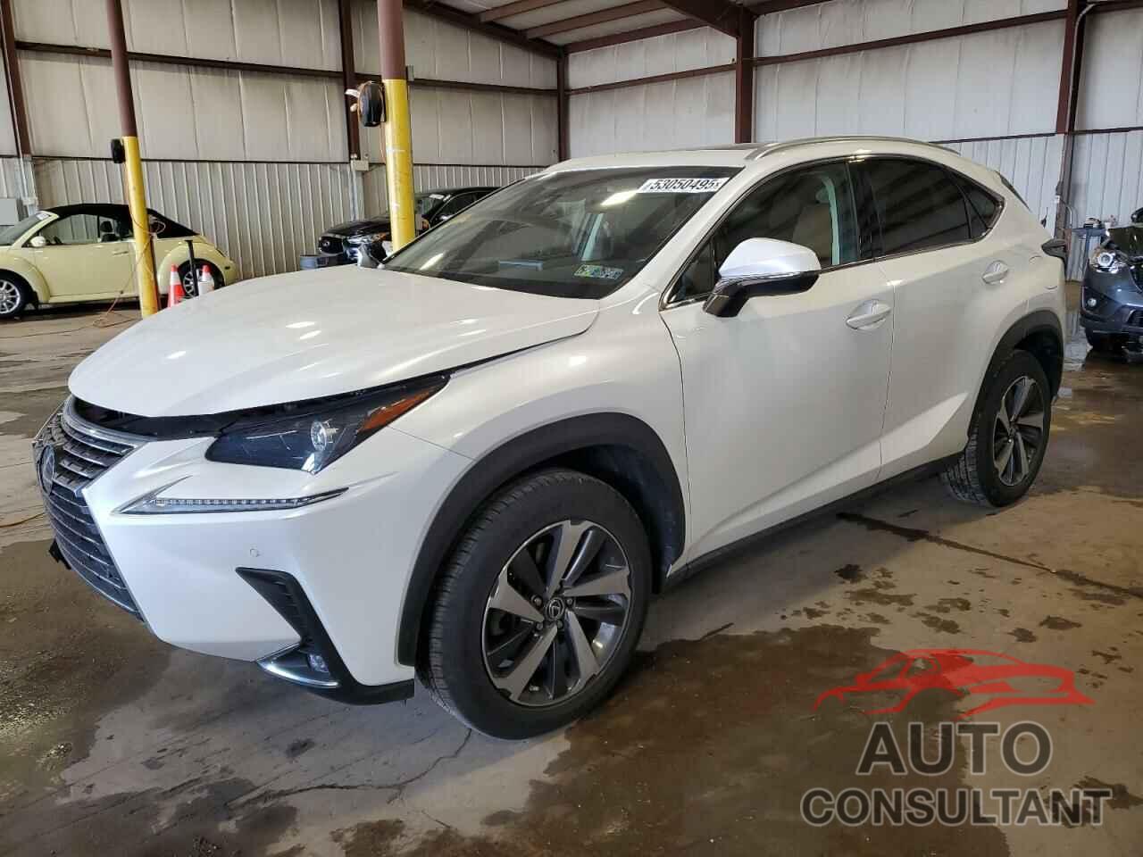 LEXUS NX 2019 - JTJBARBZ6K2199341