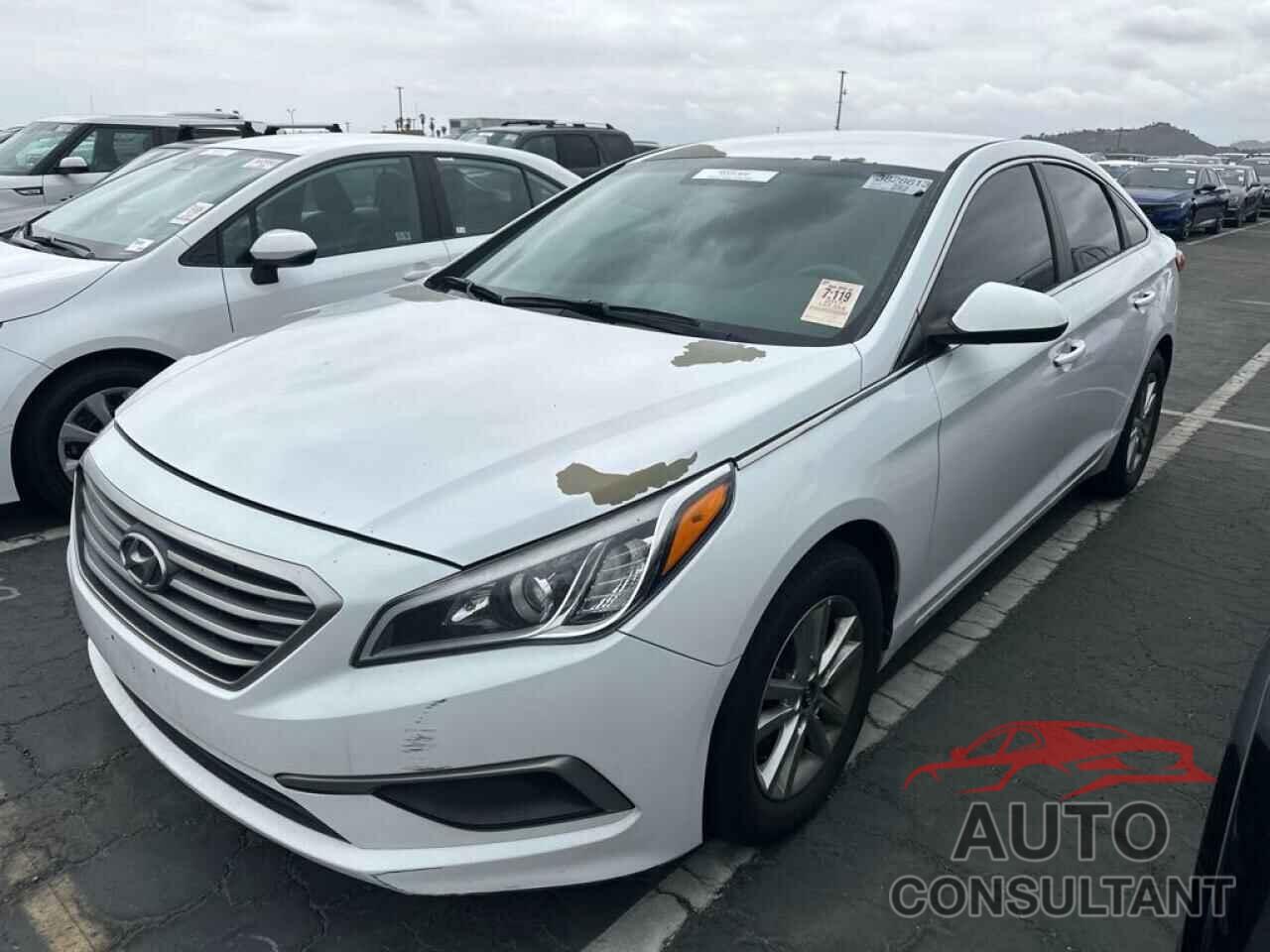 HYUNDAI SONATA 2017 - 5NPE24AF2HH531905