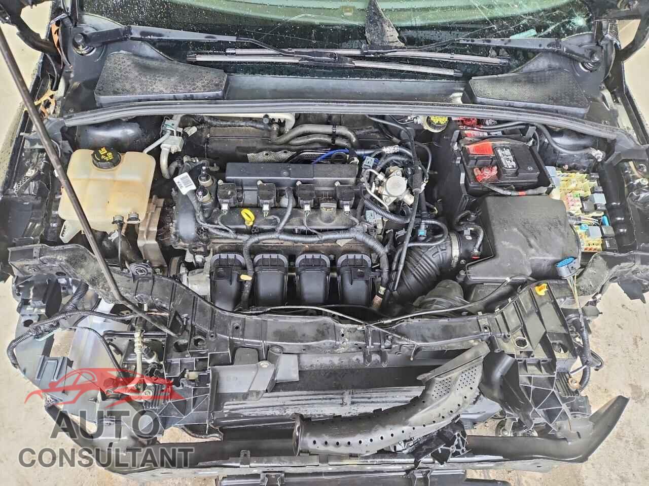 FORD FOCUS 2016 - 1FADP3F21GL402017