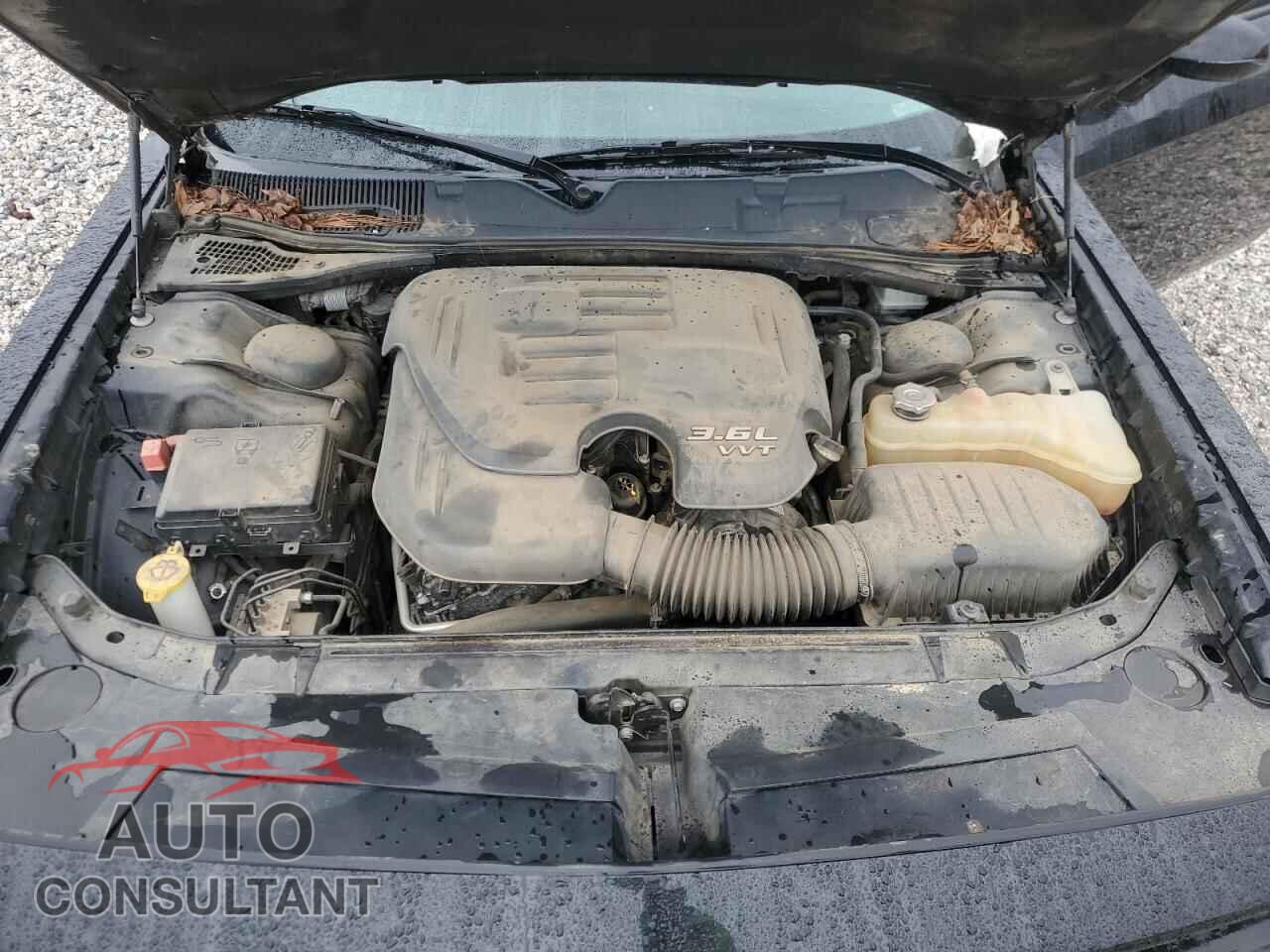 DODGE CHALLENGER 2019 - 2C3CDZAG2KH538445