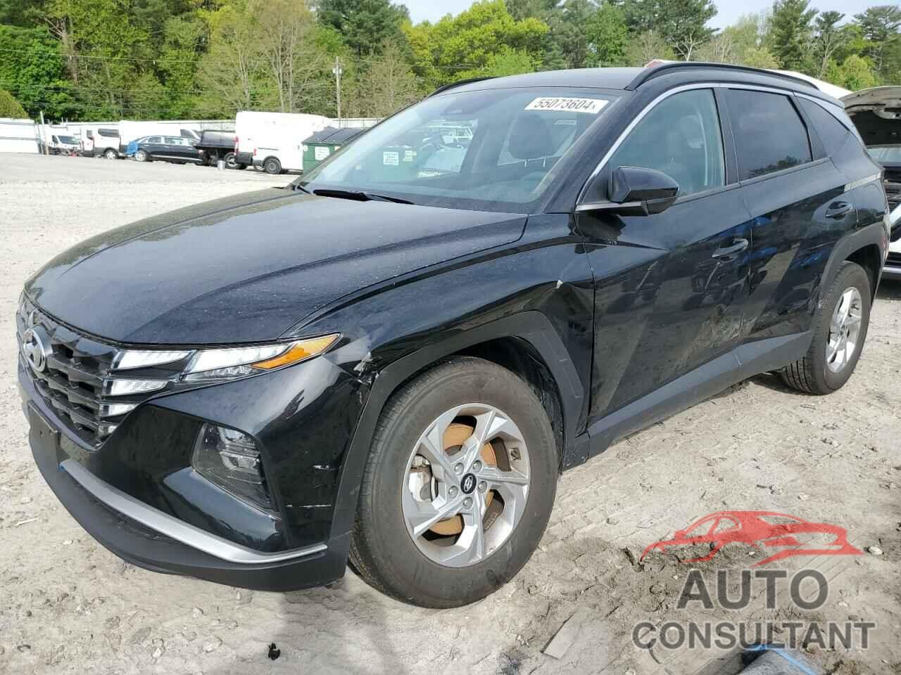 HYUNDAI TUCSON 2024 - 5NMJBCDE8RH310089