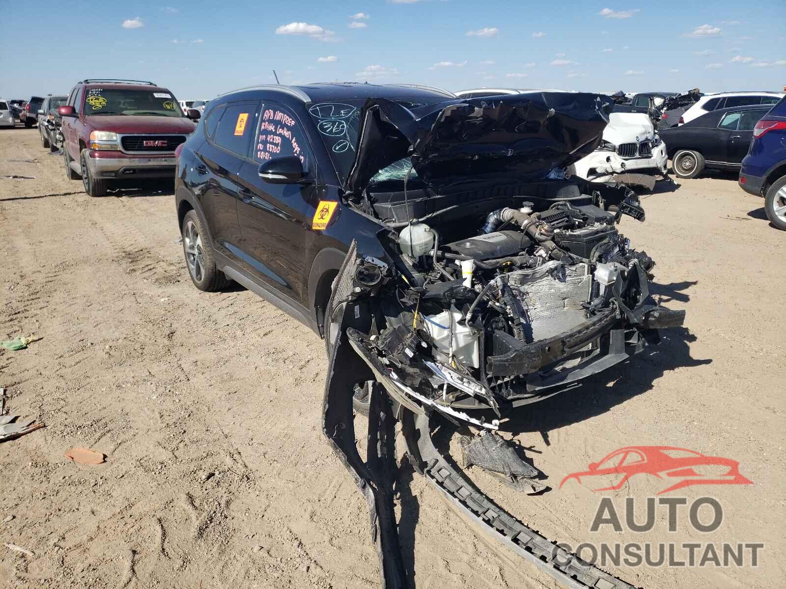 HYUNDAI TUCSON 2017 - KM8J33A22HU342384