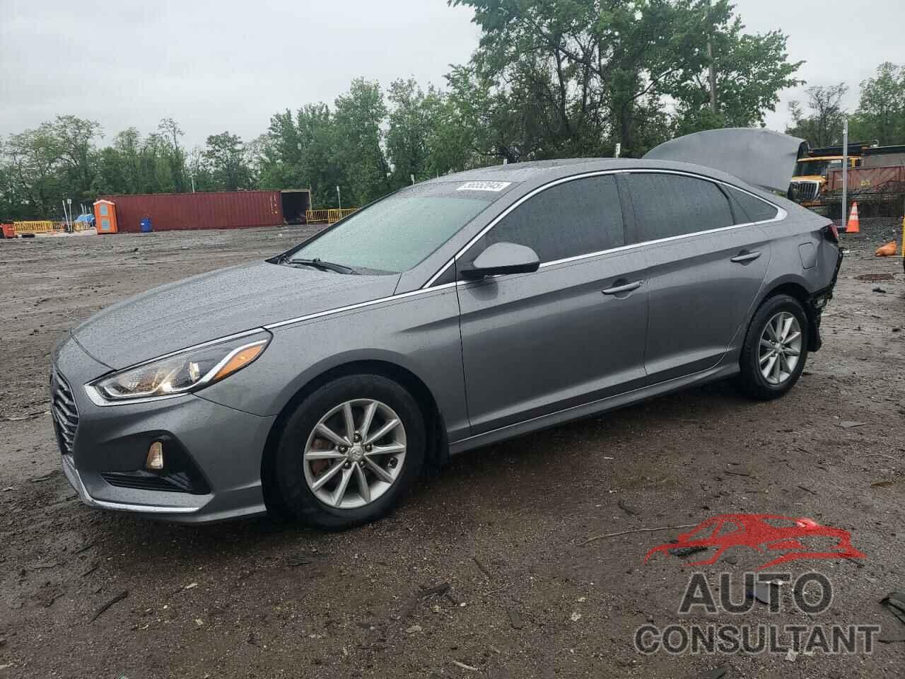 HYUNDAI SONATA 2019 - 5NPE24AF6KH762619