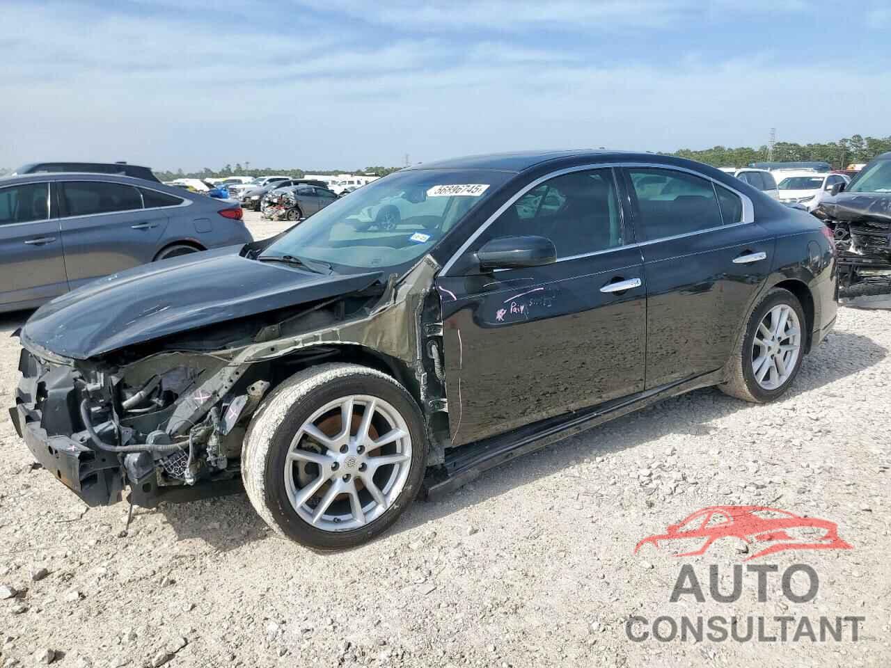 NISSAN MAXIMA 2011 - 1N4AA5APXBC850252
