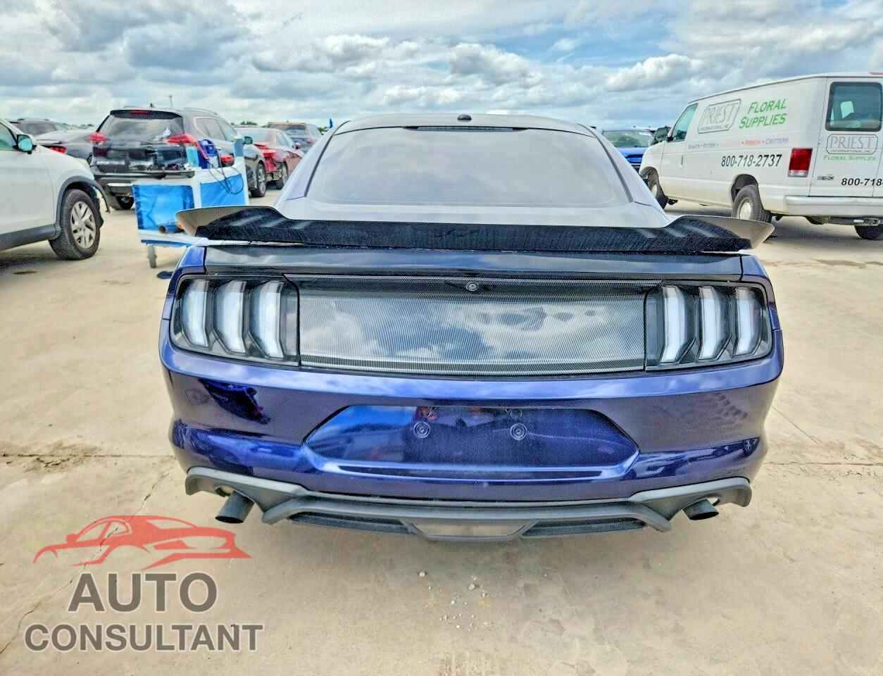 FORD MUSTANG 2019 - 1FA6P8TH2K5130833